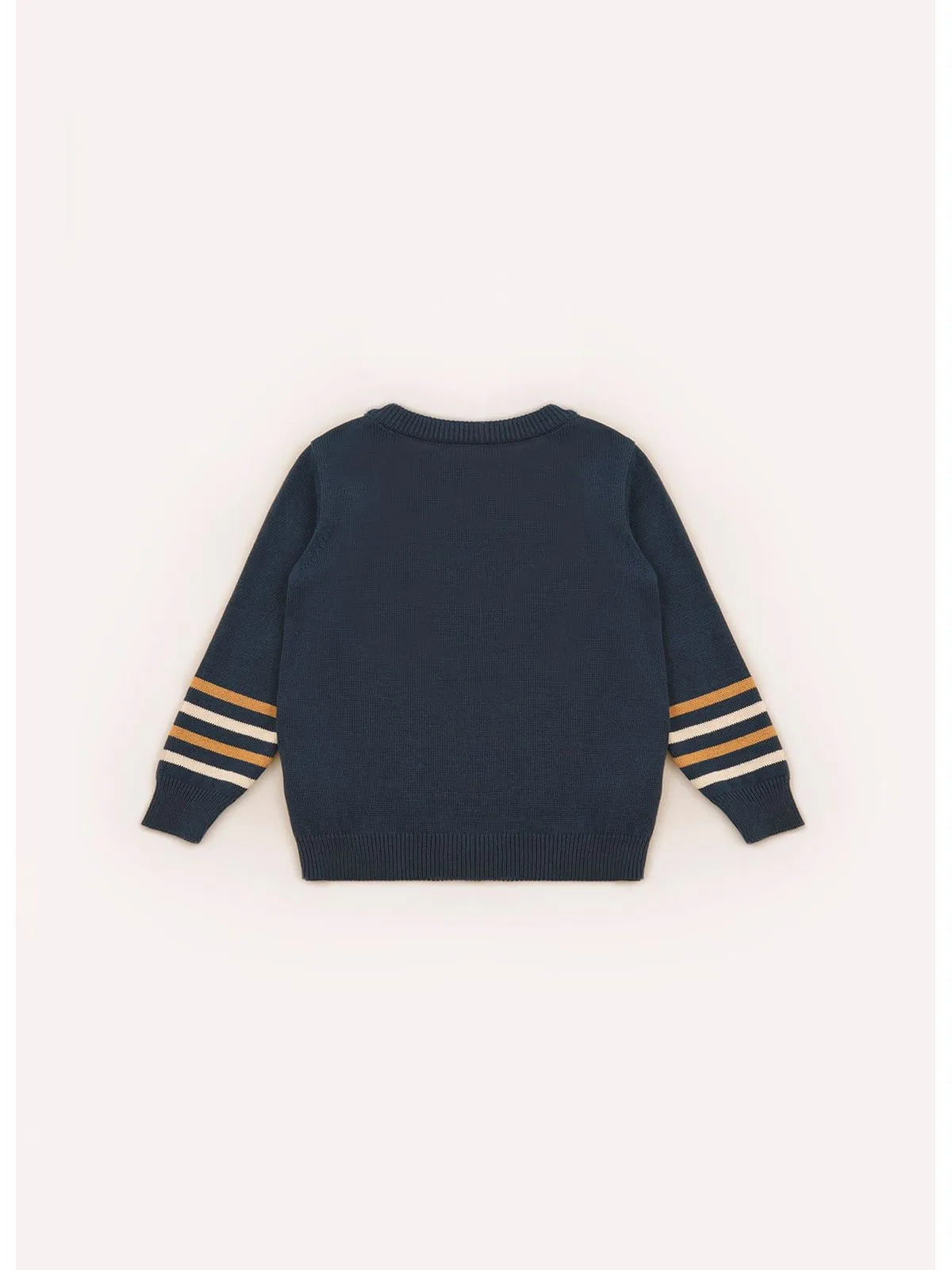 Blusa Tricot Cachorrinho For Boys Detalhe Listra MG Blue Star - BambolePetit