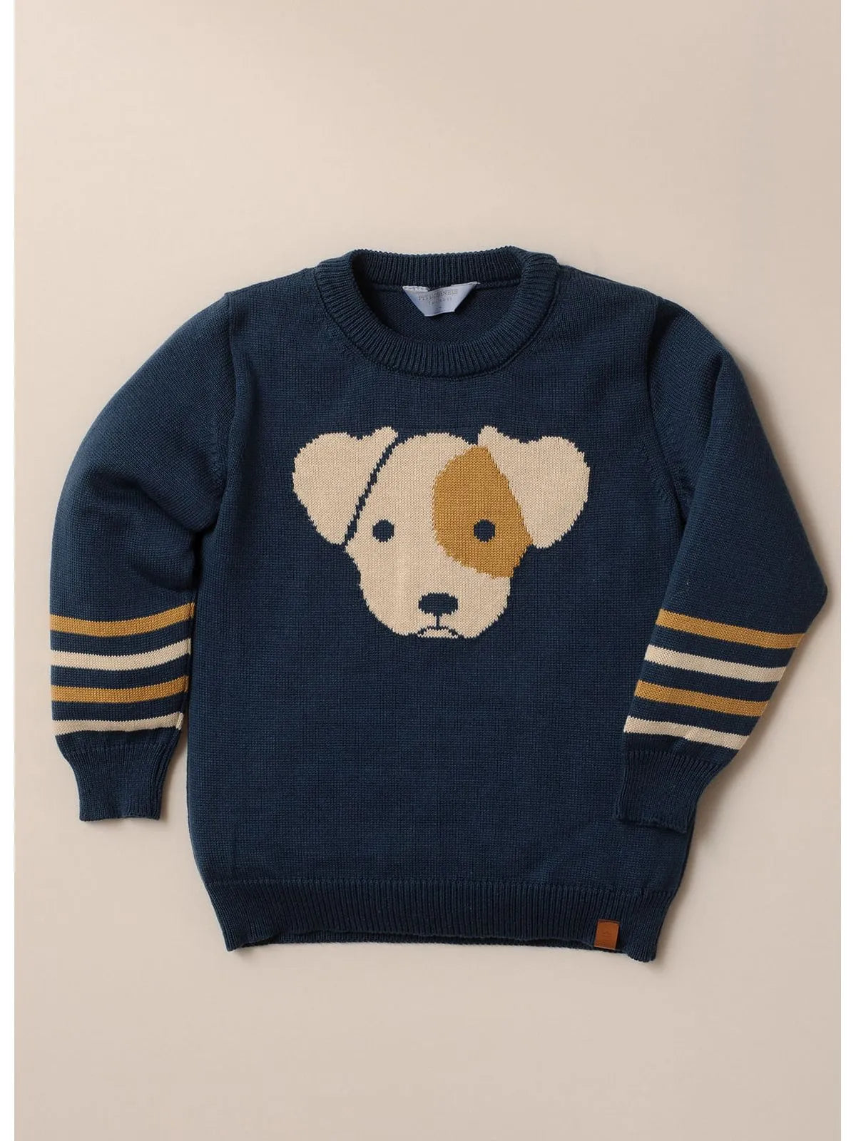 Blusa Tricot Cachorrinho For Boys Detalhe Listra MG Blue Star - BambolePetit